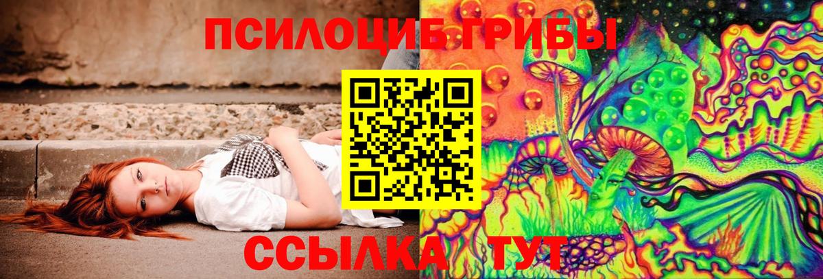 Полевской  Псилоцибиновые грибы Magic Shrooms  Вход с VPN 